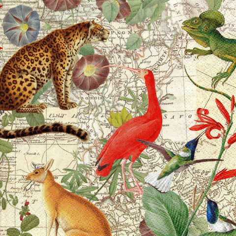 ANIMALES 36