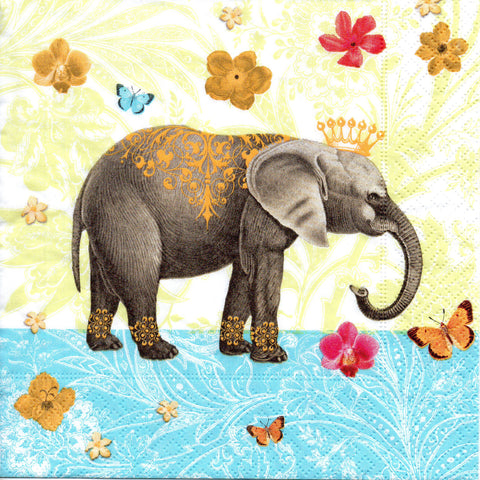 ANIMALES 43