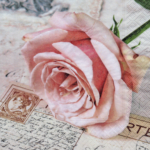 FLORES 163