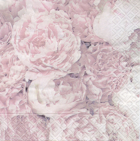 FLORES 165