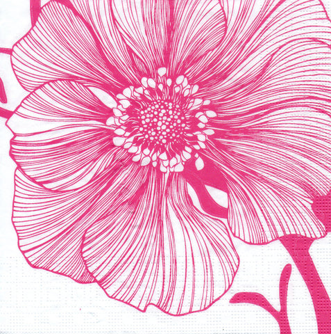 FLORES 215