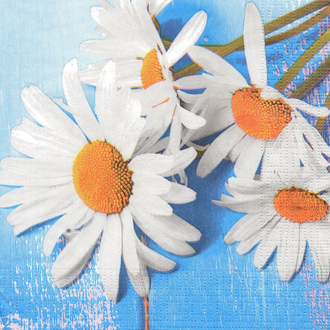 FLORES 223