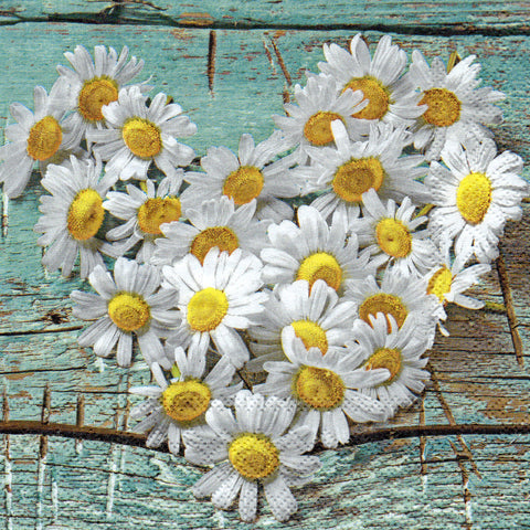 FLORES 40