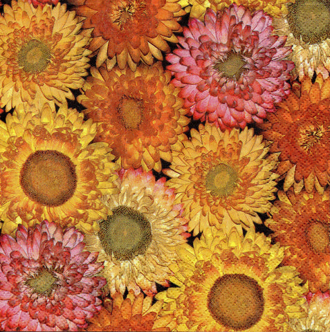 FLORES 69