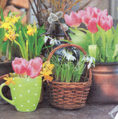 FLORES 84