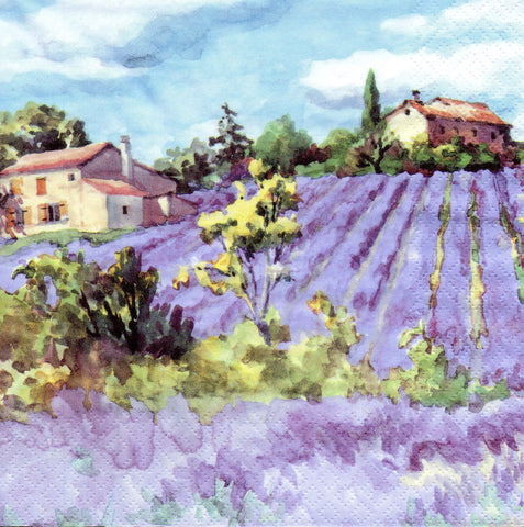 FLORES 95