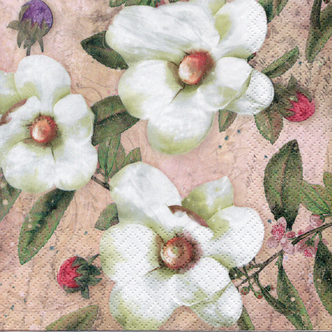 FLORES 233