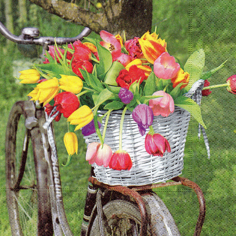 FLORES 241