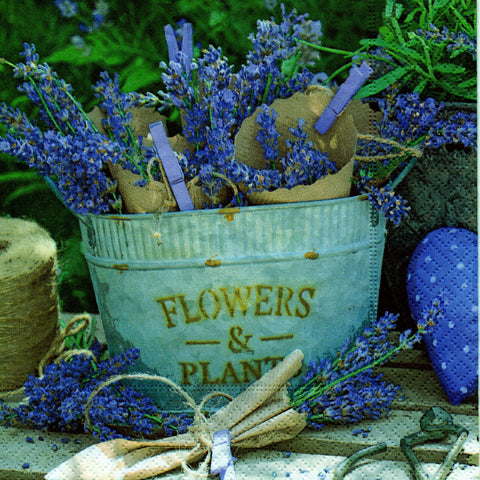 FLORES 250