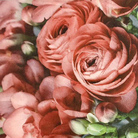 FLORES 362