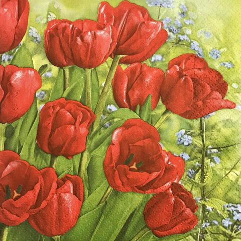 FLORES 363