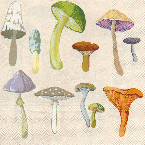 FRUTAS Y VERDURAS 30