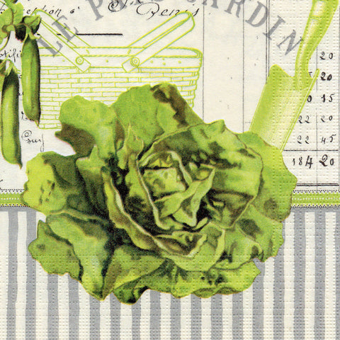 FRUTAS Y VERDURAS 45