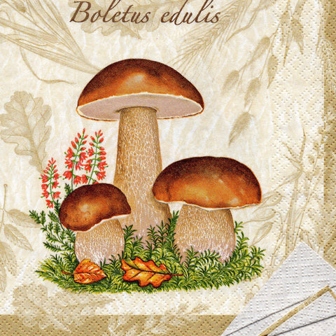 FRUTAS Y VERDURAS 50