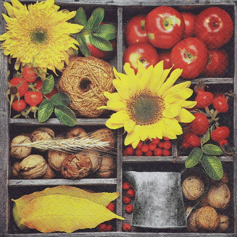 FRUTAS Y VERDURAS 61