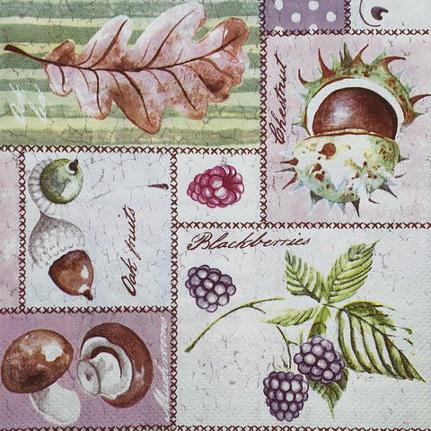 FRUTAS Y VERDURAS 63