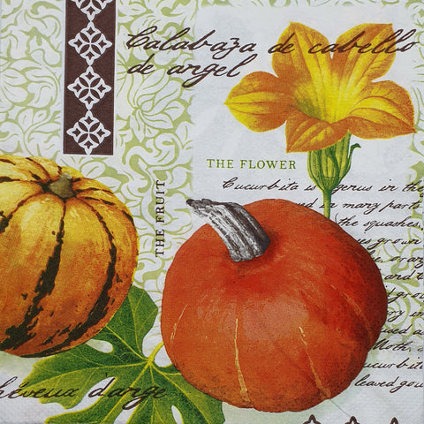 FRUTAS Y VERDURAS 64