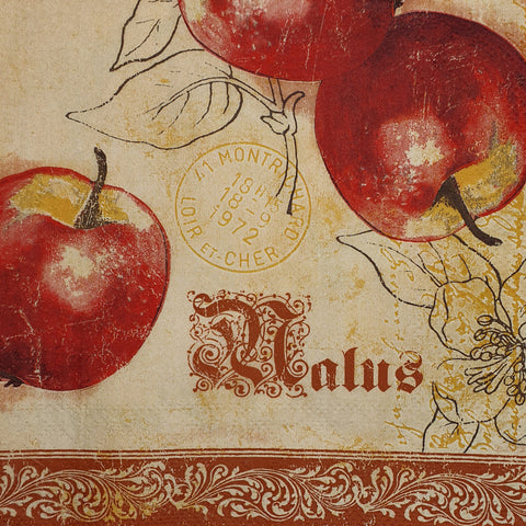 FRUTAS Y VERDURAS 66