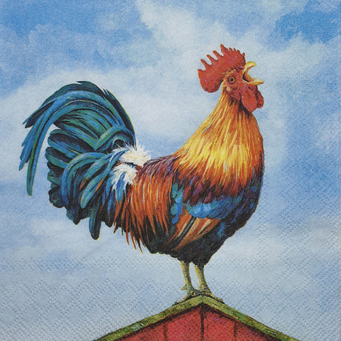 GALLOS Y GALLINAS 22