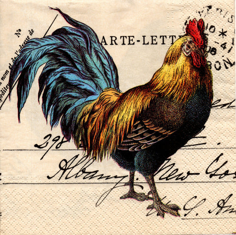 GALLOS Y GALLINAS 16