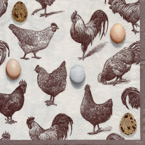 GALLOS Y GALLINAS 19