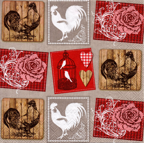 GALLOS Y GALLINAS 9