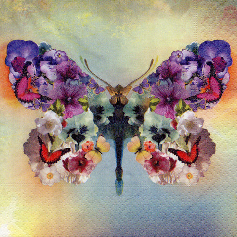 MARIPOSAS 15