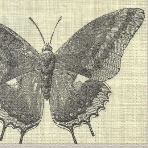 MARIPOSAS 27
