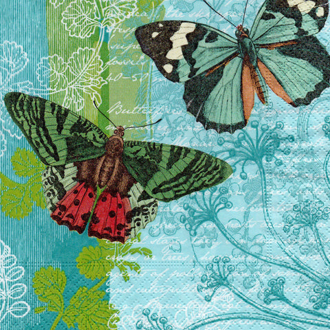 MARIPOSAS 43