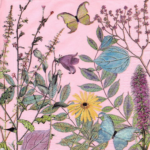 MARIPOSAS 59