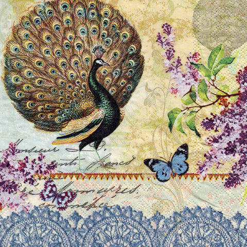 PAJAROS 10