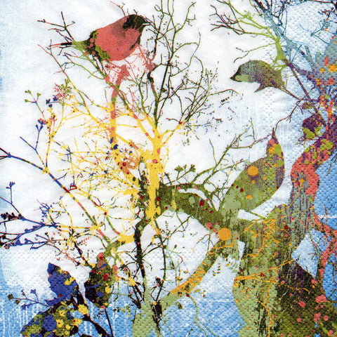 PAJAROS 20