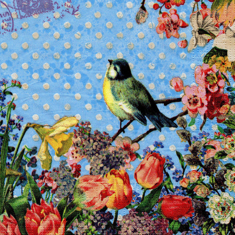 PAJAROS 21