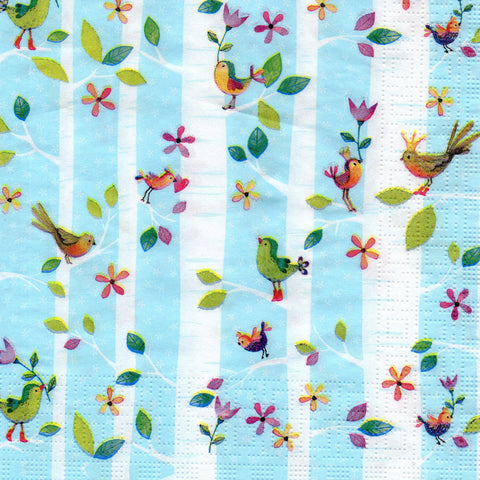 PAJAROS 30