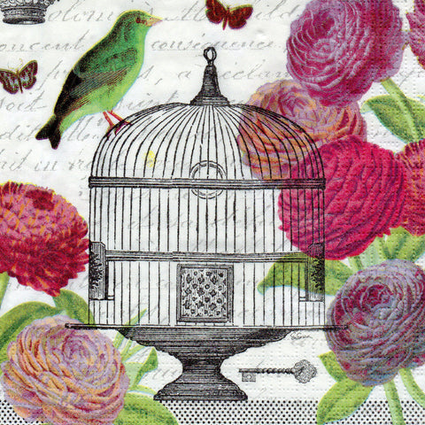 PAJAROS 31