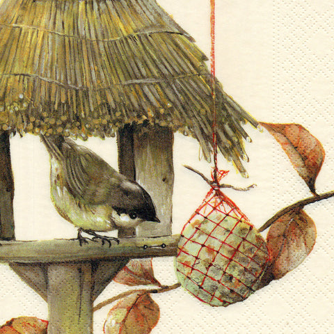PAJAROS 48