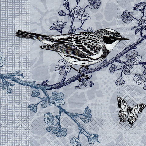 PAJAROS 64