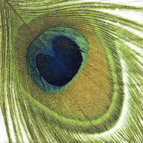 PAJAROS 75