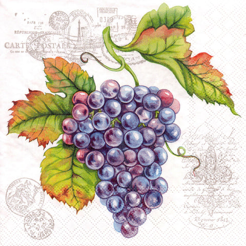 VINOS 26